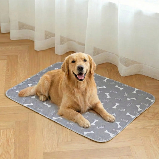 PatiPrime Yıkanabilir Köpek Çiş Pedi